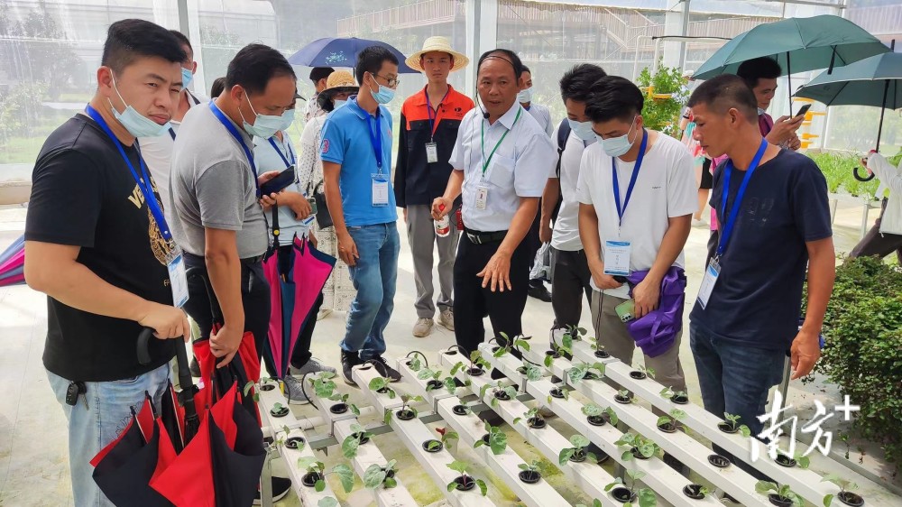 "主要从事油茶种植的惠来县公坪种植有限公司总经理周加民说,在经济
