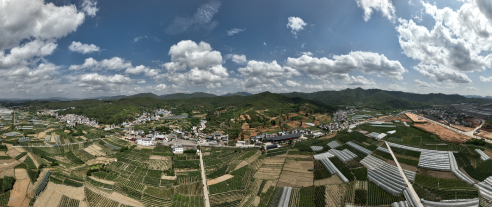 7月30日相约安宁市禄脿街道第七届葡萄文化旅游节