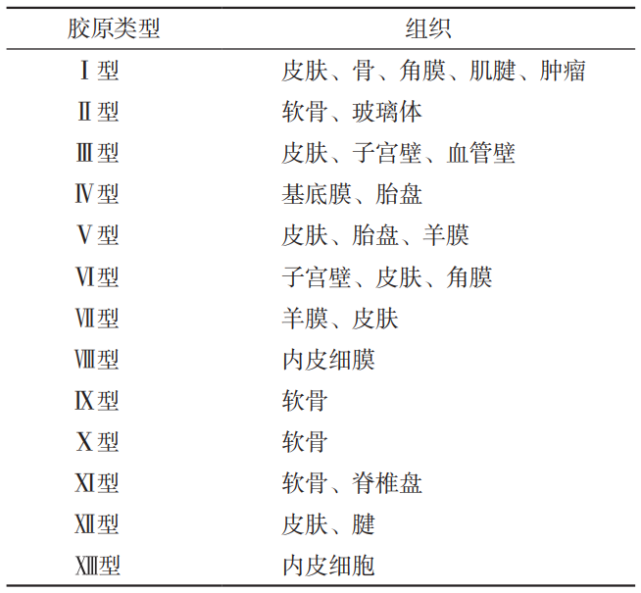 胶原蛋白的来源有哪些?