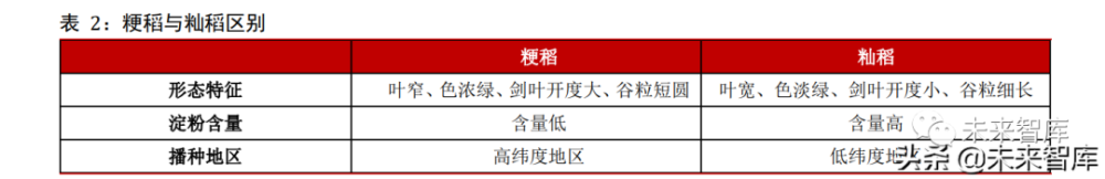 2022年水稻行业产业链专研究题报告国稻种芯百团计划行动