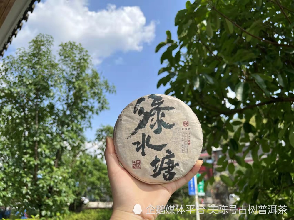 去往绿水塘古茶山的路,可谓"三尺羊肠行路难,山势险峻,道路险阻,简直