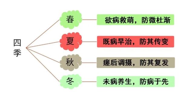 一分钟带您了解,什么是治未病?