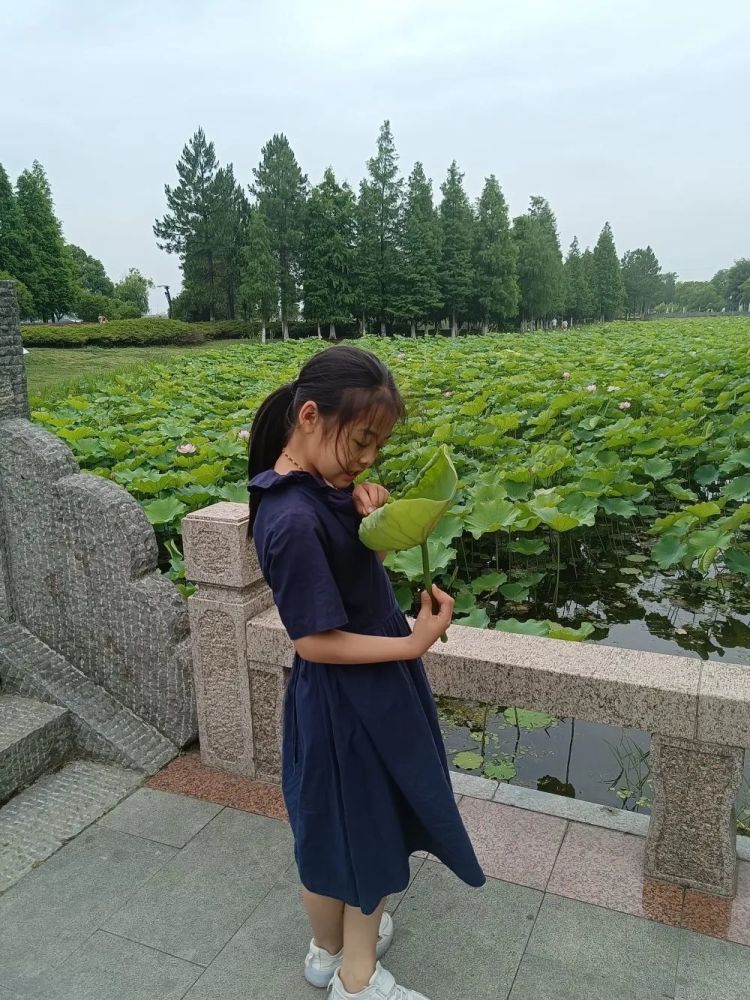 征集多彩一夏趣嗨暑假