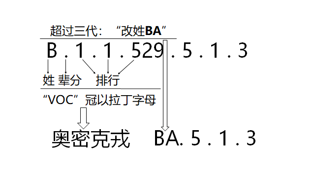 "卓越人才荣誉称号"(拉丁字母的来源)海南爆发的为奥密克戎ba