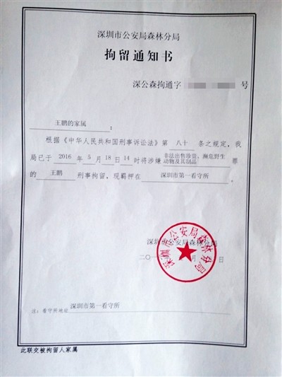 男子卖鹦鹉获刑5年 二审律师将作无罪辩护 - 1