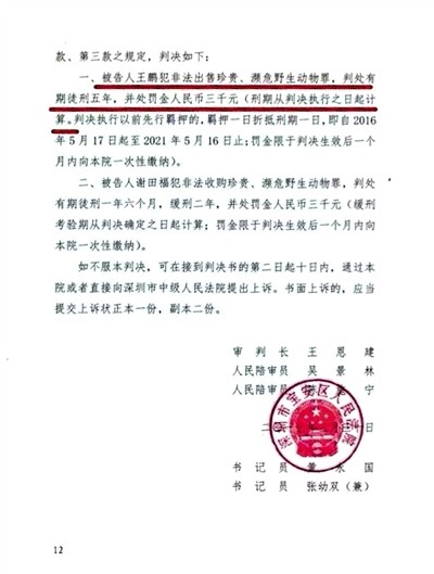 男子卖鹦鹉获刑5年 二审律师将作无罪辩护 - 2