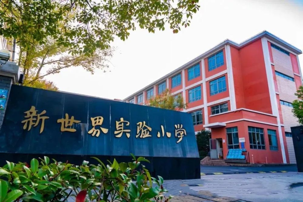 小学对口的是浦东新区二梯队新世界实验小学(洪山校区,是浦东新区的