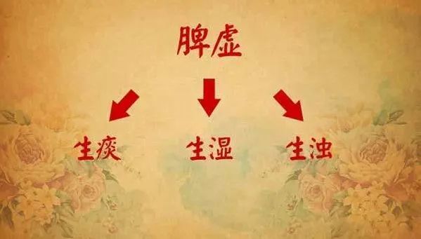 脾虚湿滞 腾讯网