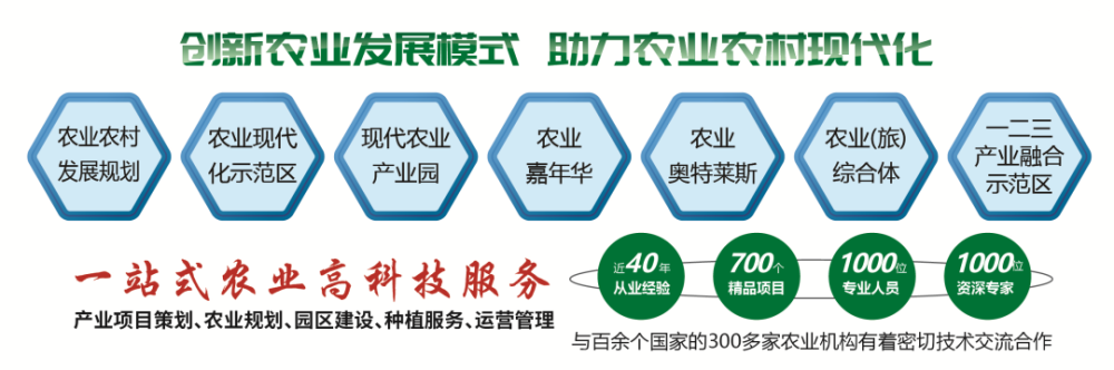 党的二十大报告特别提出,要全面推进乡村振兴,坚持农业农村优先发展