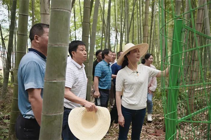 奋进新征程建功新时代铁城嬗变访邵武市市长郭绯红