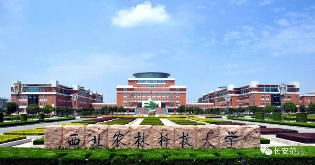 西咸新区携西北农林科技大学正式官宣,西农大未来农业研究院落户沣西