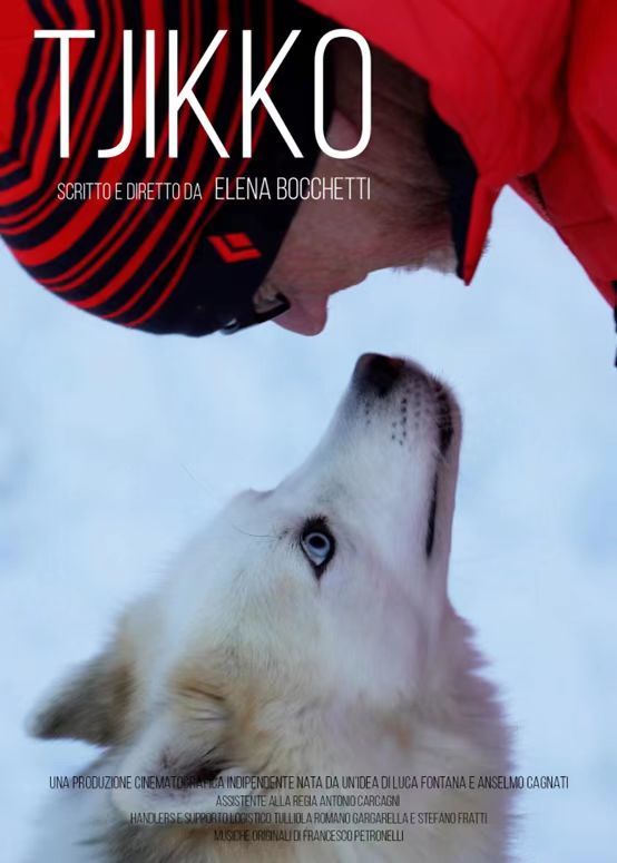 連城小說網手機版下載_獵人小說網免費閱讀_全本小說免費無彈窗在線閱讀