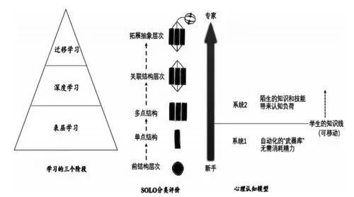 专业发展高阶思维能力如何有效培养可见的学习为教师搭建系统框架