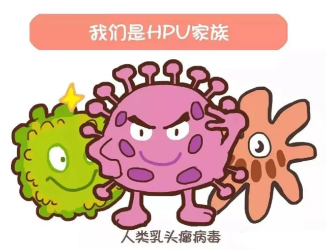 郑州合心医院:hpv66阳性会致癌吗?该怎么办?