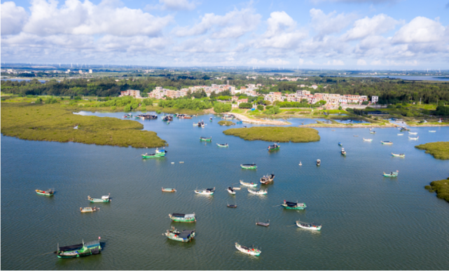 徐闻锦和天气网_(广东徐闻锦和镇天气预报)