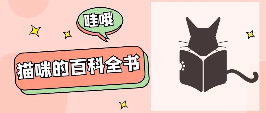 貓咪放屁能有多臭？真的上頭