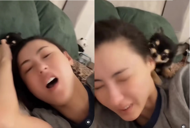 ͼƬ
