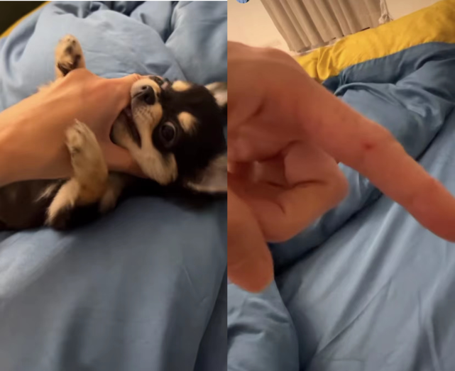 ͼƬ
