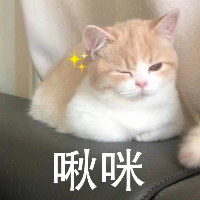 这么可爱的猫表情包还不拿走发给你家的猪猪吗