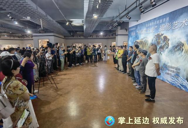 【晨报快讯】延边摄影名家邀请展——刘兵“中国东北虎”摄影艺术作品展开展_腾讯新闻