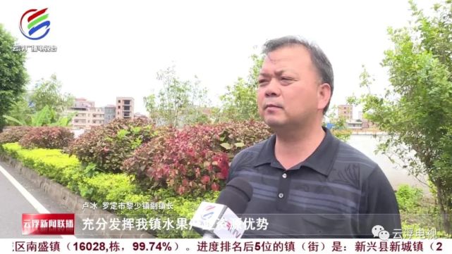 罗定市黎少镇村级集体经济多点开花 助力乡村振兴