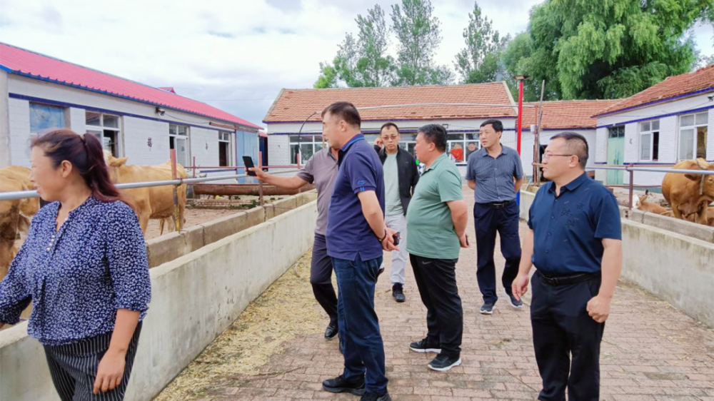 吐,吉尔嘎朗,海鲁吐,阿古拉,金宝屯等苏木镇督促检查灾后动物防疫工作