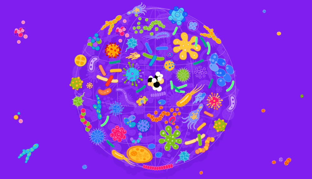 不要把微生物当敌人给您七个和微生物做朋友的理由
