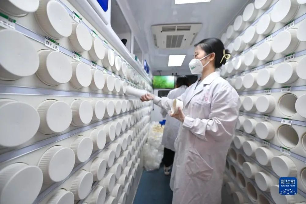 中药新药：传统与创新的碰撞
