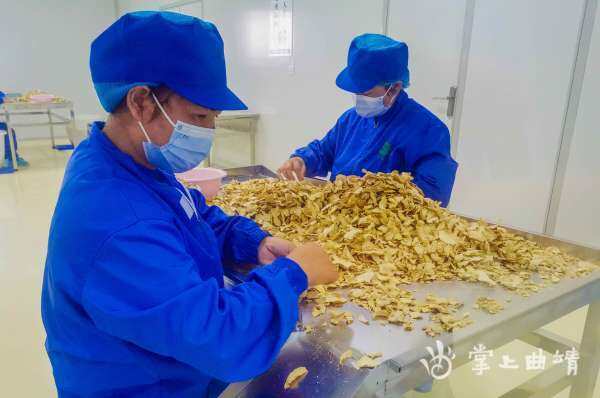 [南方生姜网-图片加载]