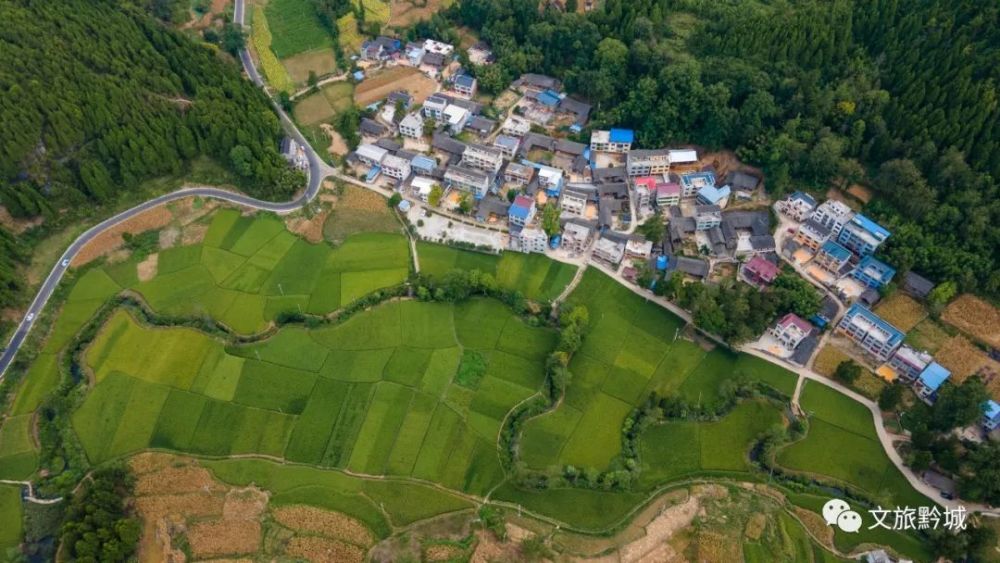 《美丽乡村·秋景图·木召村》胡国鑫 摄《美丽乡村·秋景图·木召村