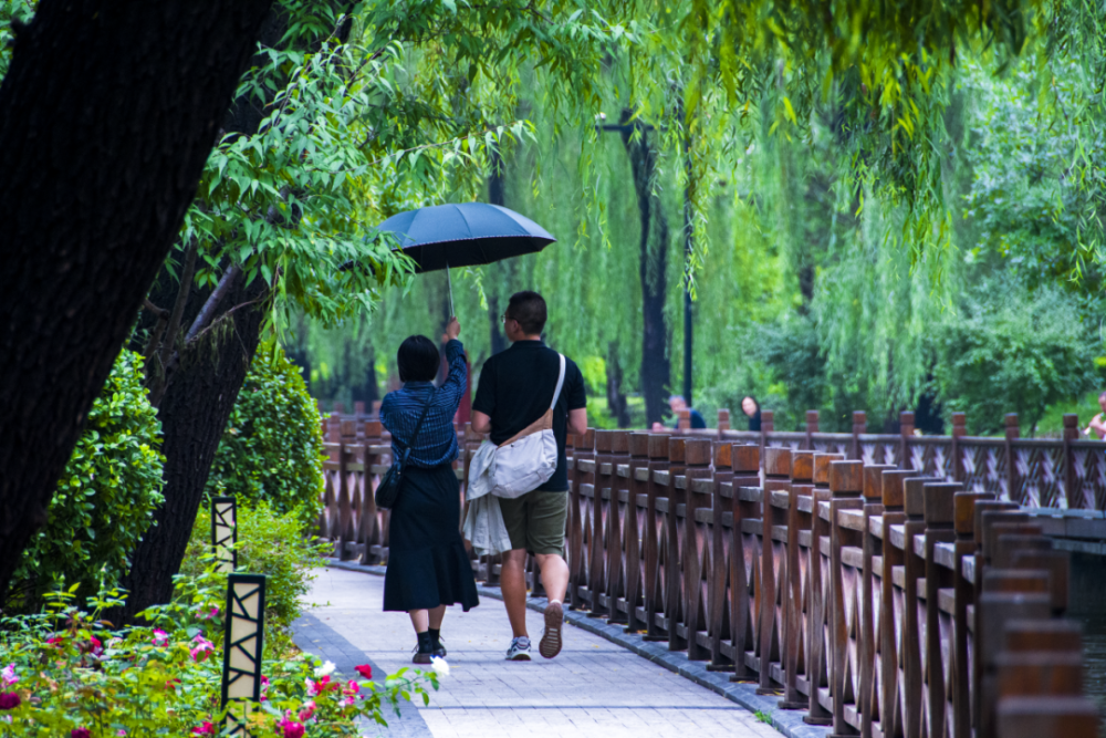 通讯员—王乾 魏宇鑫 校 对—赵艳竹 兰 杰 审 核—元艳芳