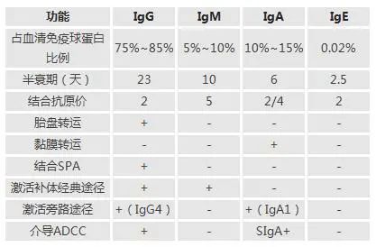 免疫球蛋白最强解析,选购不愁!