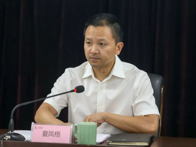 公司代表,党委书记夏凤梧作总结讲话,总经理,党委副