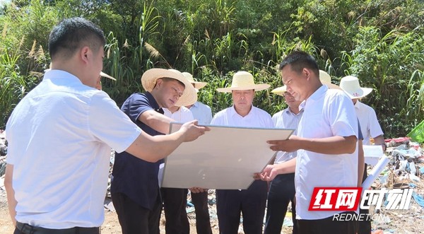 岳阳经开区推进钠离子电池项目落地