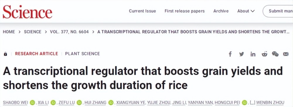 中国科学家发现水稻高产基因可提高光合作用及氮素利用效率让水稻至少