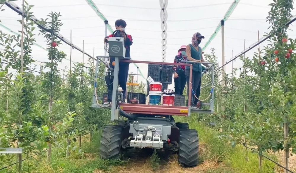 奋进新征程建功新时代科技赋能苹果飘香产业旺