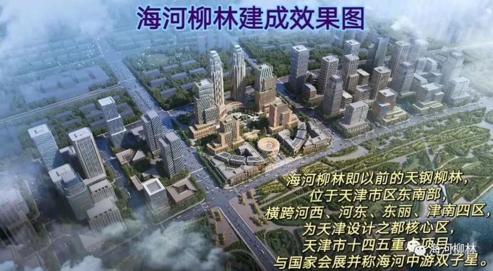 海河柳林意见和建议收集情况一览
