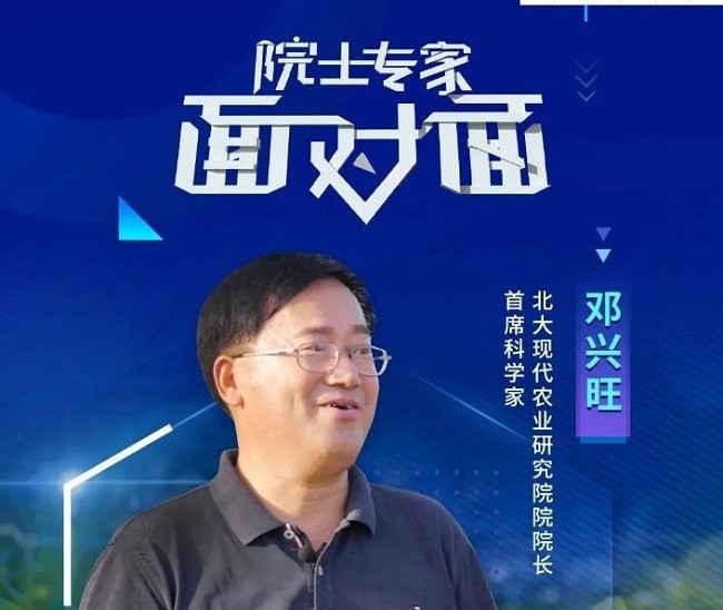国稻种芯百团计划行动邓兴旺依靠中国农业现代化的实现