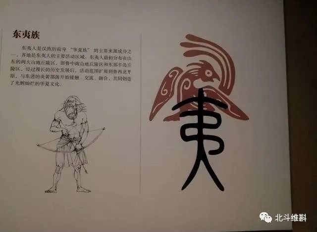 东夷部族的经济比较发达,山东半岛一带不仅可以发展农耕,还可以发展