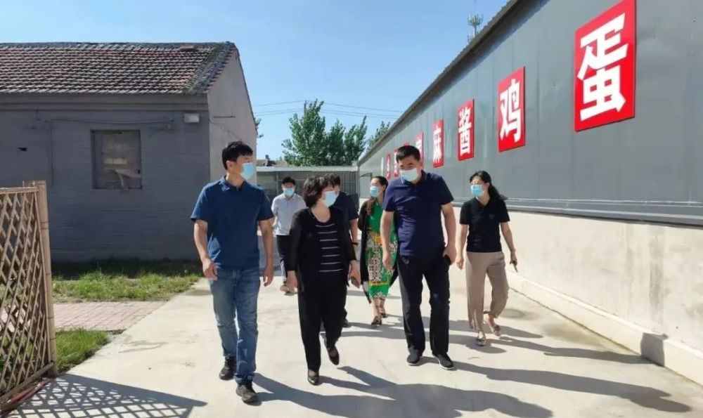 区委常委宣传部部长苏坚同志赴尤古庄镇调研指导企业经济发展工作