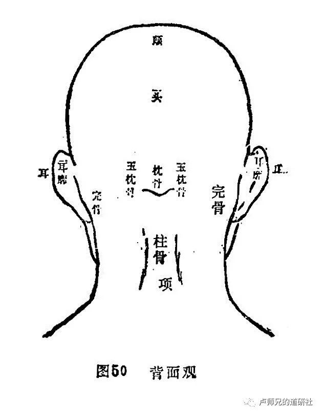 枕骨:脑后中央隆起之骨(今称枕外隆凸.玉枕骨:枕外隆凸两侧高起之骨.