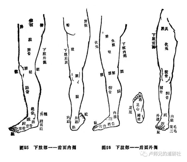 髀枢:今称髋关节外侧部位,又称髀厌,髀机.