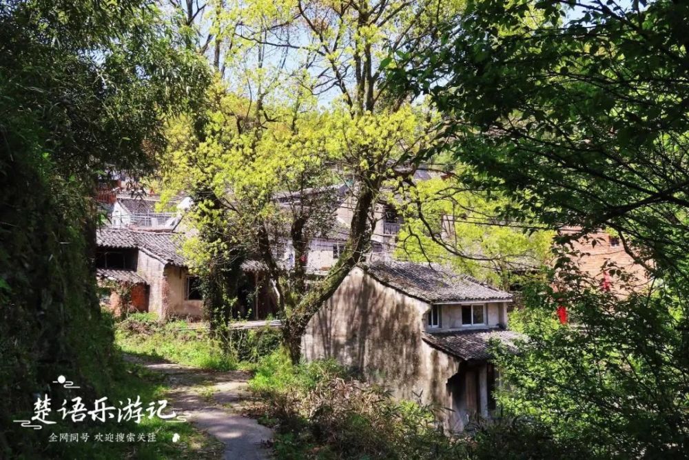 俞山村和金山村,吴徐桂都有一个共同的特点,就是在村头修建有一个平台