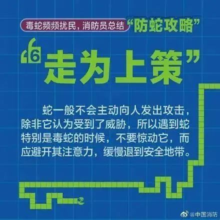 这里有份详细的"防蛇攻略,推荐仔细阅读.