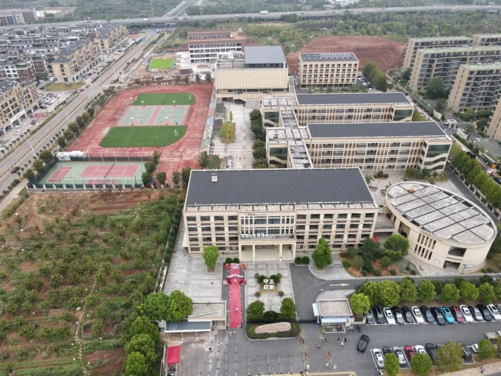 望道小学九州小学稠江小学新建福田二小,望道小学,义乌杭州育才学校等