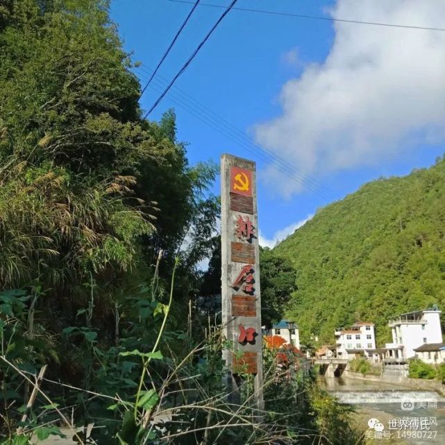 浙江省丽水市松阳县玉岩镇排居口村附近有松阳大木山骑行茶园景区