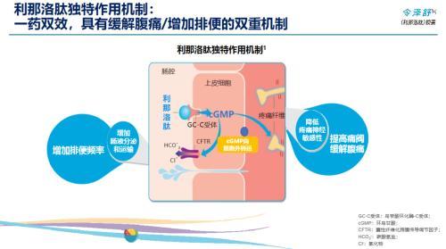 利那洛肽治疗儿童功能性便秘iii期成功,拟申报上市