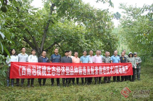 [南方生姜网-图片加载]