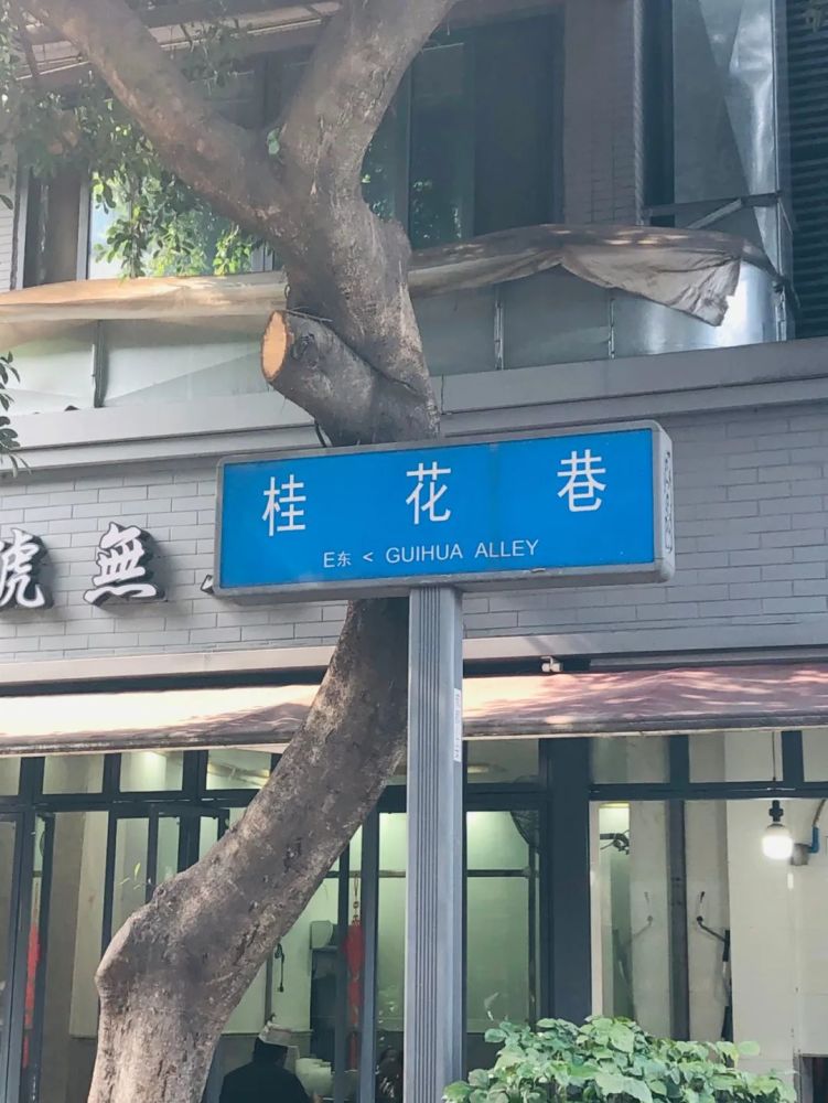 后来因为和南城的另一条桂花街同名,又改名为桂花巷,一直沿用至今.