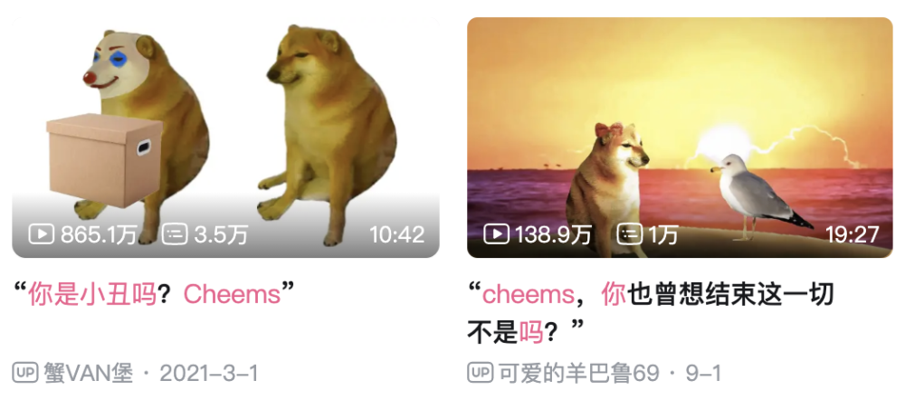 曾经的表情包柴犬又火了方式连它自己都意料不到